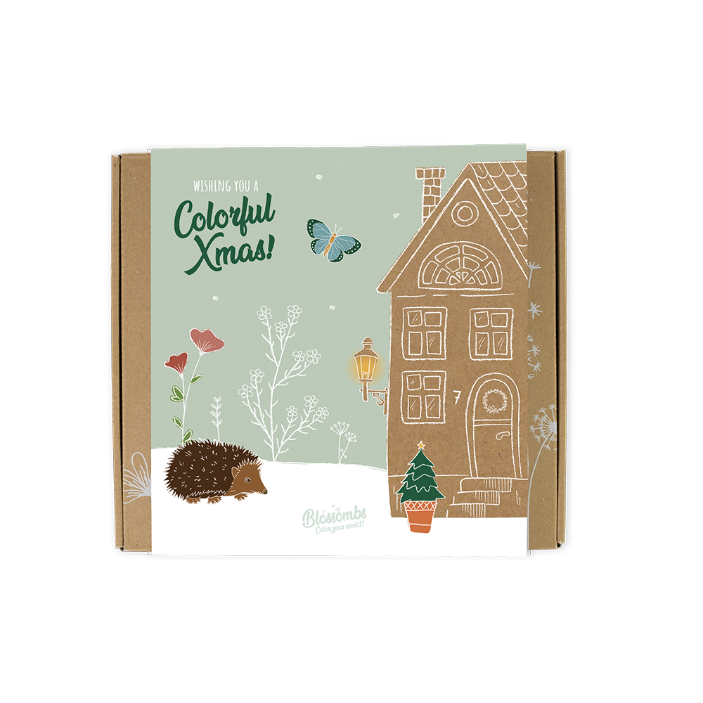 Gift Box Medium mit 9 Samenbomben - Colorful Xmas