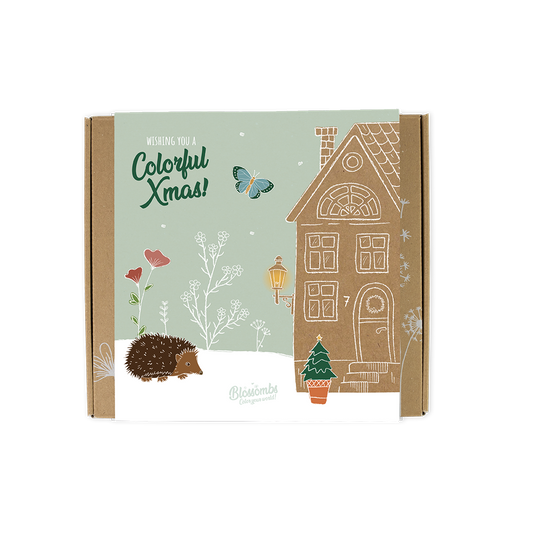 Gift Box Medium mit 9 Samenbomben - Colorful Xmas