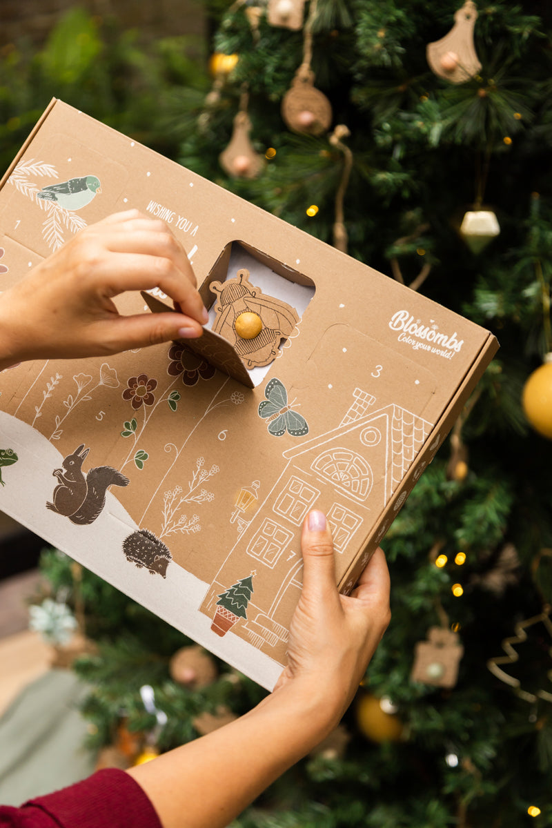 Adventskalender Xmas - mit 7 Samenbomben-Anhängern für Weihnachten