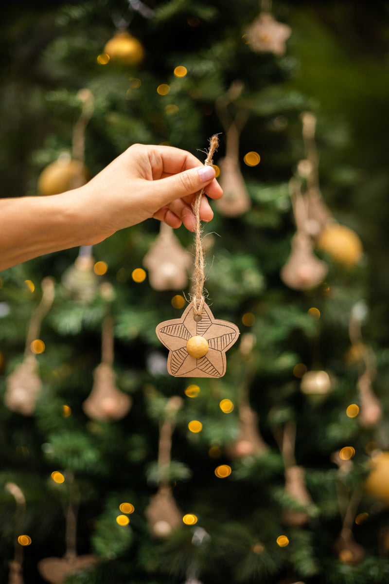 Weihnachtsgeschenkbox DIY - mit 9 Samenbomben-Anhängern